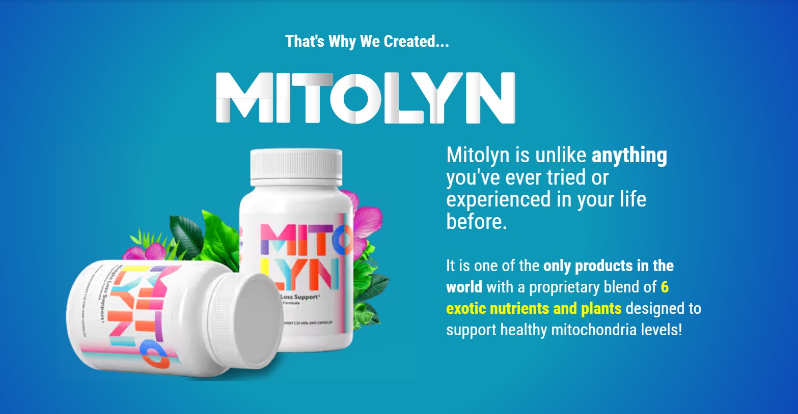 Mitolyn Reviews